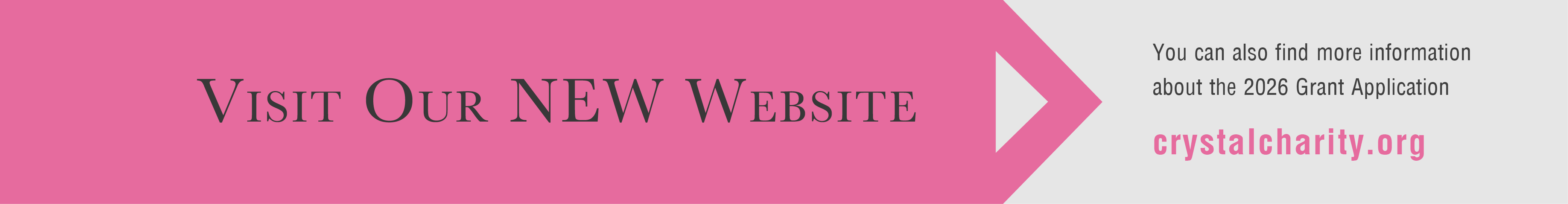 2021 Online Auction Banner